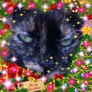 Meet your Posher, Johnene